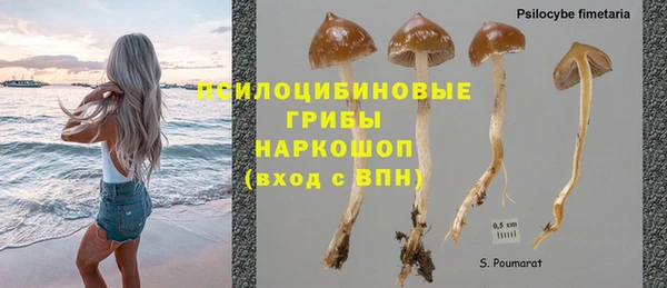 сатива Навашино