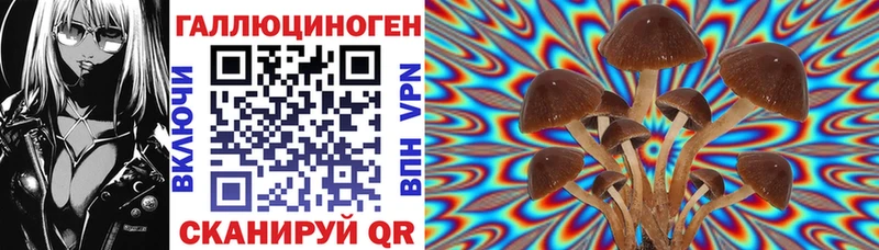 наркотики  kraken как войти  Галлюциногенные грибы мицелий  Галич 